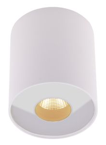 Maxlight Plazma Spot sufitowy 7,3 cm biała