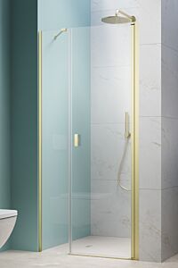 Radaway Nes DWS Drzwi do wnęki 100 cm prawe (98-101cm) profil jasne złoto szczotkowane